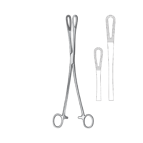 Rampley Forcep - Box Lock – jenseninstruments