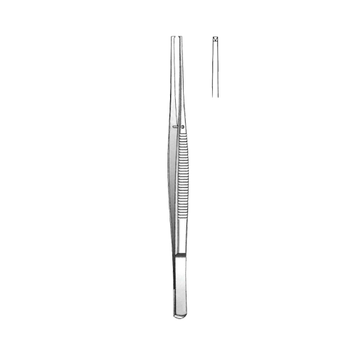 Slender Tooth Taylor Tissue Forcep 17 cm / 6-3/4