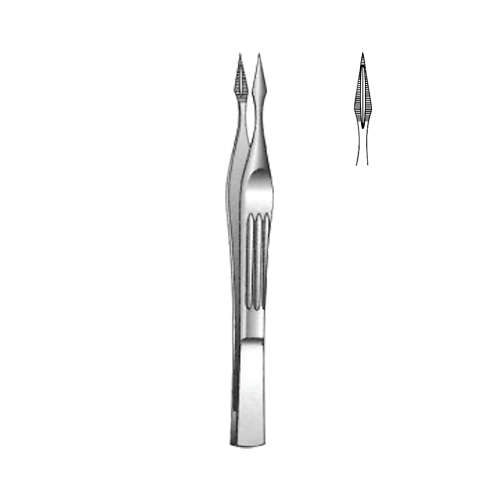 Walter-Carmalt Splinter Forcep 10.5 cm / 4-1/4