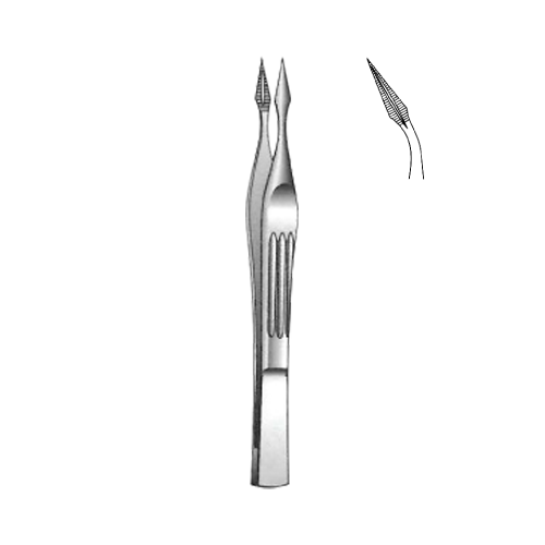 Walter-Carmalt Splinter Forcep 10.5 cm / 4-1/4