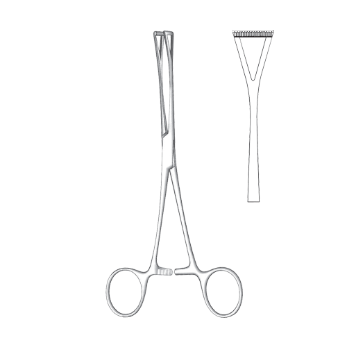 Duval Tissue and Holding Forcep - 13 mm – jenseninstruments